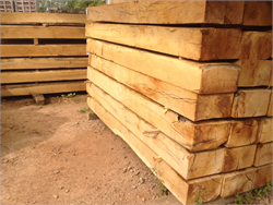 Large Freshly Sawn Green Oak Sleepers